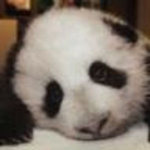 Meet your Posher, Grey